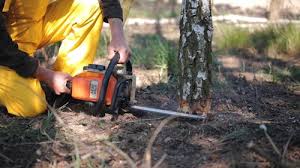 Best Lawn Irrigation Installation and Maintenance  in Lindenwold, NJ